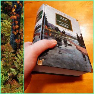 Исторический роман