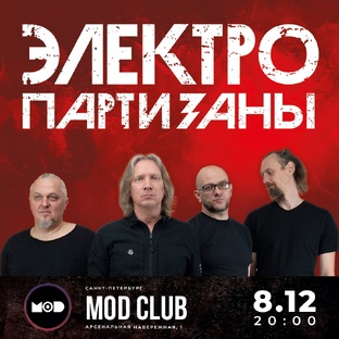 Электропартизаны