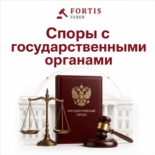 Споры с государственными органами 