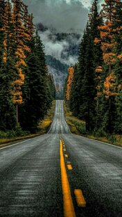 Красивая природа