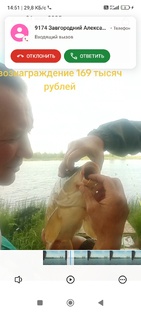 Поймали золотую рыбку с золотым кольцом и бриллиантом с вознаграждением 169 тыся