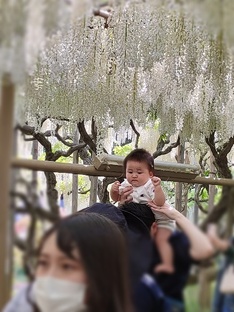 Личный опыт жизни в Японии