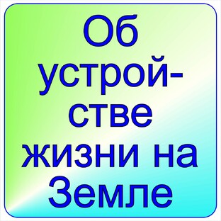 Об устройстве жизни