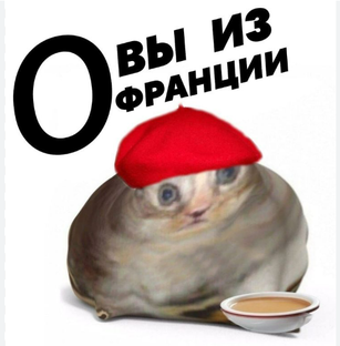 Чек статистики 