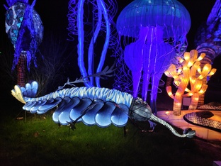 Выставка световых фигур в Jardin des Plantes 