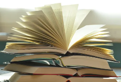 стихи о жизни