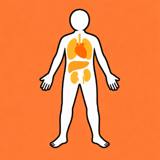 Органы и ЛФК