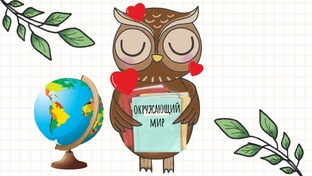 ВПР. Окружающий мир