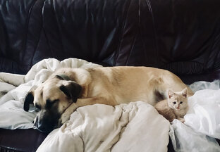 Привет из дома