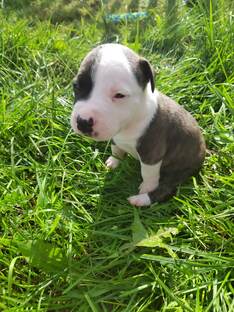 лучшая музыка 