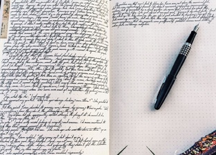 Дневник экскурсовода