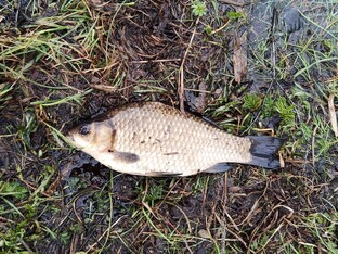 Активный отдых