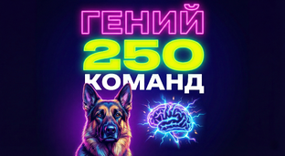 Интересные факты, мифы и тренды  