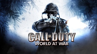 Call of Duty. World At War