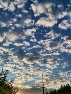 Встреча.(Моя беллетристика).