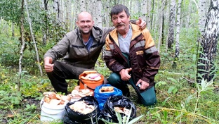 Рыбалка, походы за грибами, прогулки по лесу.