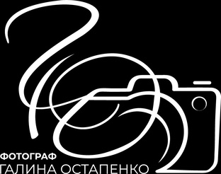 Портфолио можно увидеть здесь