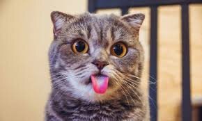 Подборка приколов 😁