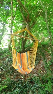 Наш сад и огород