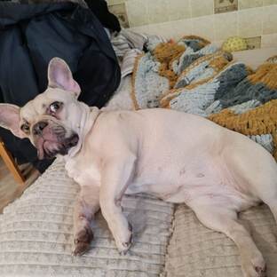 Побеспокоили