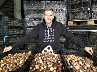 Выгонка тюльпанов на гидропонике. Онлайн-курс.  Видео