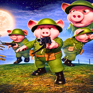 Hogs of War