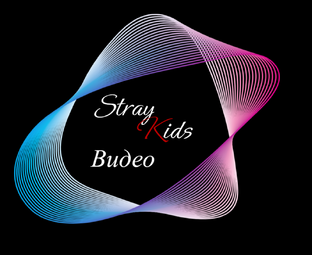 Stray Kids - видео 🩶