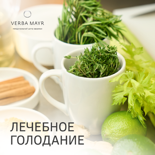 Лечебное голодание 