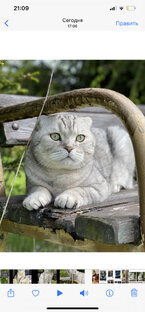 Мои миллионы