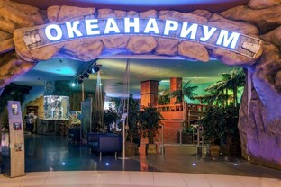 Воронежский океанариум