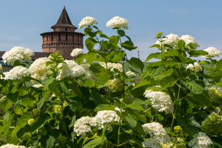Кремли России