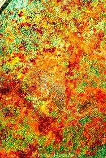 Импасто: Космограмма