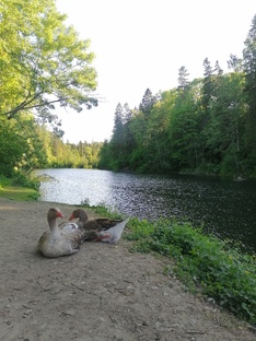 Ленинградская область 