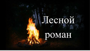 Лесной роман