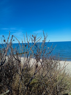 Зеленоградск