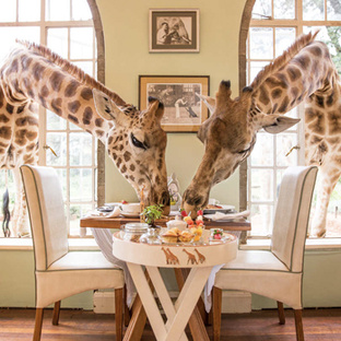 Отели, лоджи и кемпы