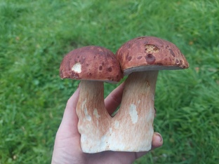 В деревенской глуши