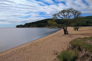 Озеро Ханка 