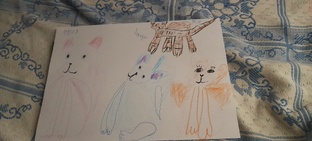 Цикл Муся и другие летящие кошки