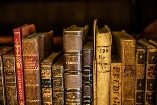 Литературные обзоры