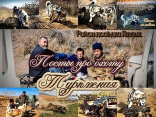 Посты про охоту на кабана в Туркмении