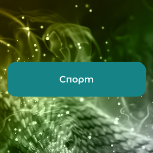 Спорт