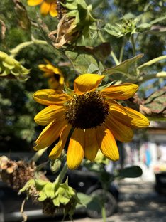 Благовещенская 2024