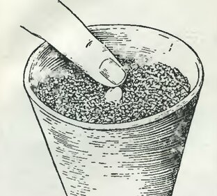 Выращивание по правилам