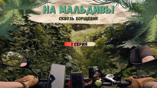 В поисках пляжа с белым песком, Аджамки