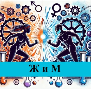 Ж и М