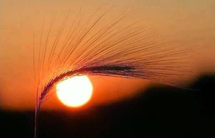 Подсказки дня от МАК