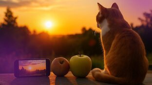 Полезная информация 