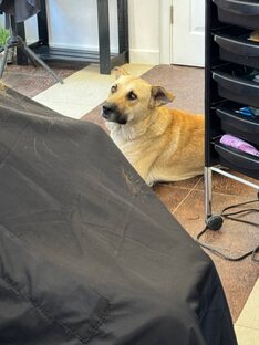 Обычный день в Крыму