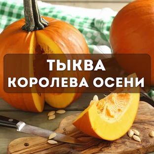 Тыква - королева осени